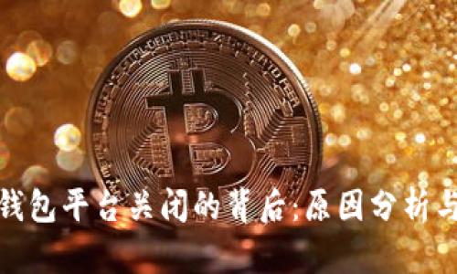 数字货币钱包平台关闭的背后：原因分析与未来出路