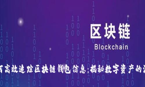 如何高效追踪区块链钱包信息:揭秘数字资产的流动