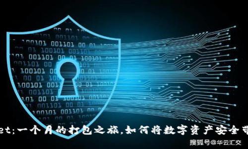 tpWallet：一个月的打包之旅，如何将数字资产安全带入生活