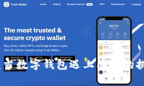 tpWallet：当数字钱包遇上国内的挑战与机遇