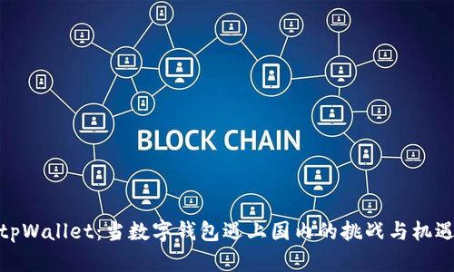tpWallet：当数字钱包遇上国内的挑战与机遇