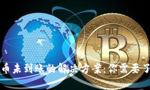 tpWallet提币未到账的解决方案：你需要了解的每一步
