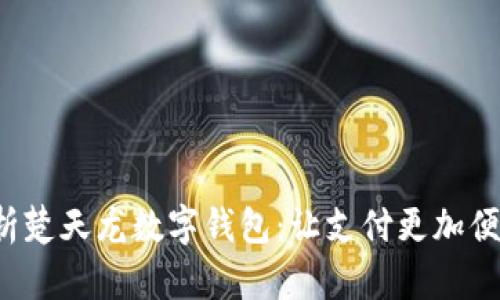 全面解析楚天龙数字钱包：让支付更加便捷、安全