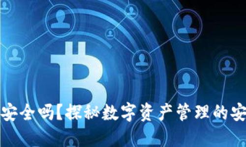 TP钱包安全吗？探秘数字资产管理的安全密码