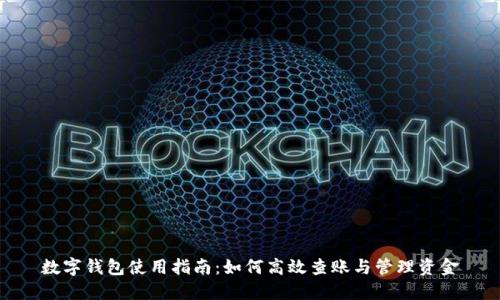 数字钱包使用指南：如何高效查账与管理资金