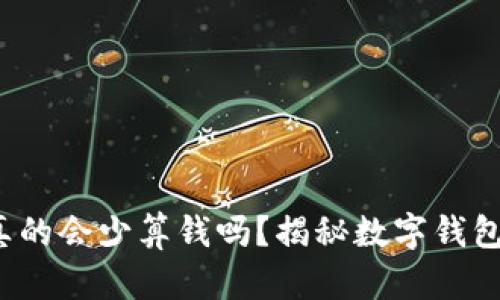 “tpWallet，真的会少算钱吗？揭秘数字钱包的真实面貌”