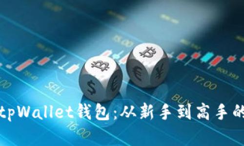 轻松连接tpWallet钱包：从新手到高手的完整指南