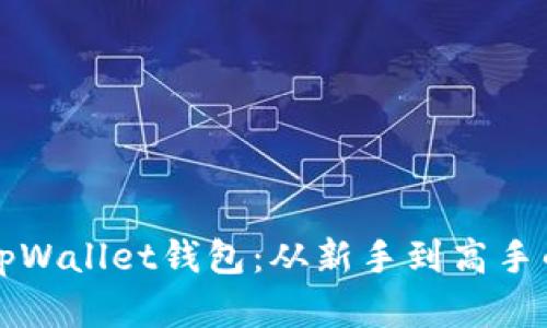轻松连接tpWallet钱包：从新手到高手的完整指南