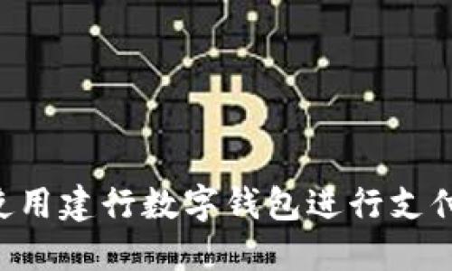 如何高效使用建行数字钱包进行支付：新手指南