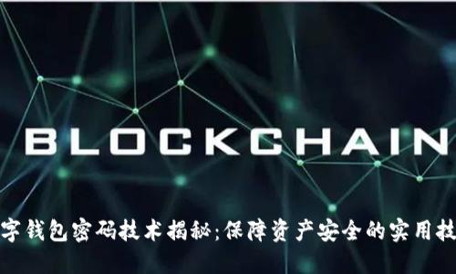 数字钱包密码技术揭秘：保障资产安全的实用技巧