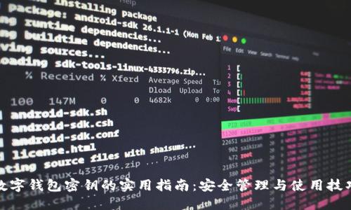 数字钱包密钥的实用指南：安全管理与使用技巧