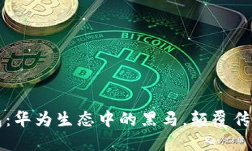 科蓝数字钱包：华为生态中的黑马，颠覆传统支付的未来