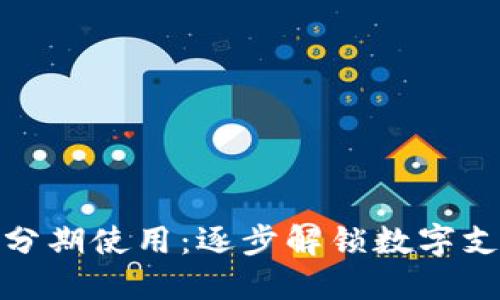 数字钱包的分期使用：逐步解锁数字支付的便捷性