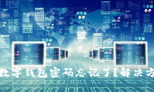 建设银行数字钱包密码忘记了？解决方案全攻略
