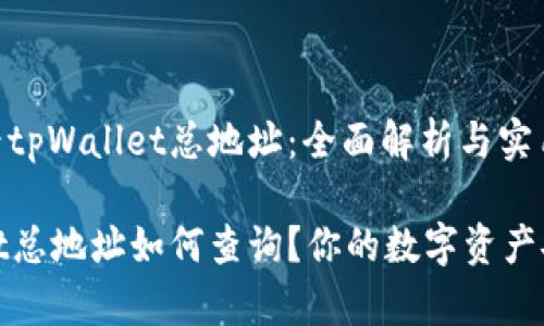 如何查看tpWallet总地址：全面解析与实用指南

tpWallet总地址如何查询？你的数字资产安全宝典