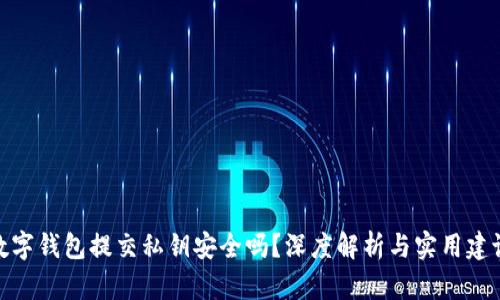 数字钱包提交私钥安全吗？深度解析与实用建议