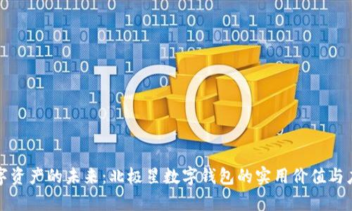 解锁数字资产的未来：北极星数字钱包的实用价值与应用前景