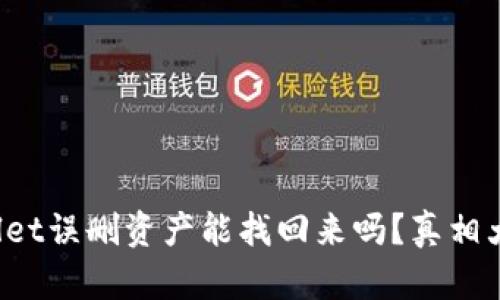 tpWallet误删资产能找回来吗？真相大揭秘！