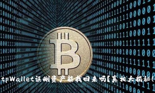 tpWallet误删资产能找回来吗？真相大揭秘！