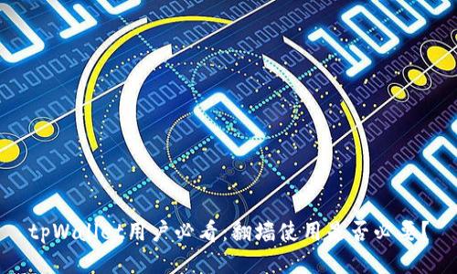 tpWallet用户必看：翻墙使用是否必要？
