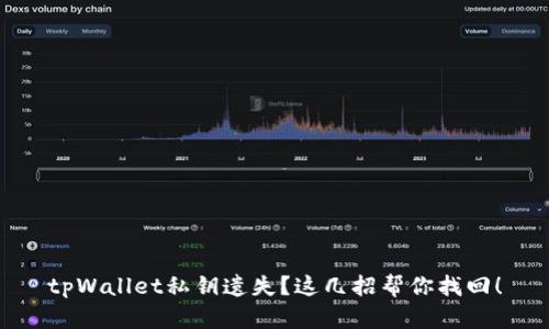 tpWallet私钥遗失？这几招帮你找回！