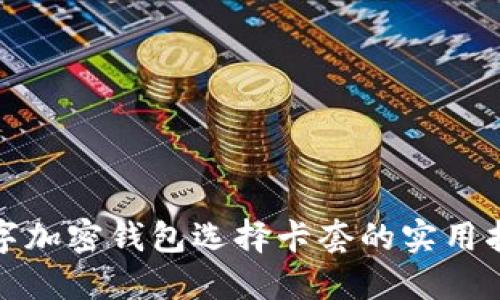 数字加密钱包选择卡套的实用指南