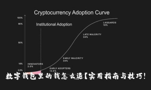 数字钱包里的钱怎么退？实用指南与技巧!
