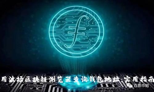 如何使用波场区块链浏览器查询钱包地址：实用指南与技巧