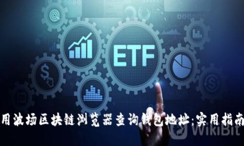 如何使用波场区块链浏览器查询钱包地址：实用指南与技巧