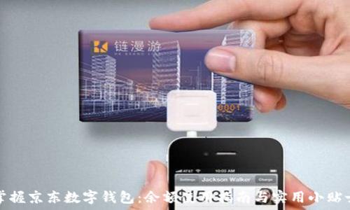   
掌握京东数字钱包：余额使用指南与实用小贴士