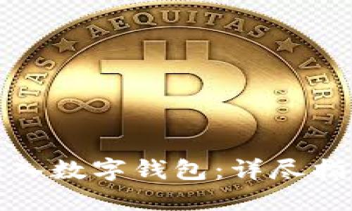 如何将资金转入数字钱包：详尽指南与实用技巧
