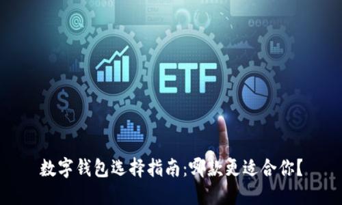 数字钱包选择指南：哪款更适合你？