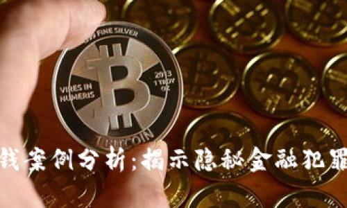 数字钱包洗钱案例分析：揭示隐秘金融犯罪的实用价值