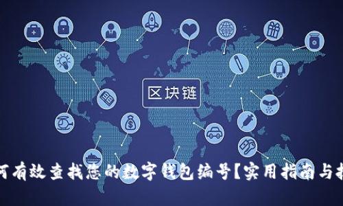 如何有效查找您的数字钱包编号？实用指南与技巧