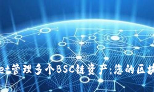 如何使用tpWallet管理多个BSC链资产：您的区块链数字钱包指南