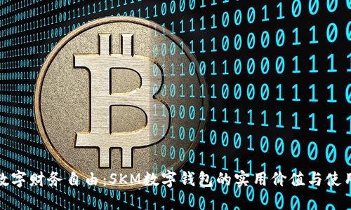 解锁数字财务自由：SKM数字钱包的实用价值与使用体验