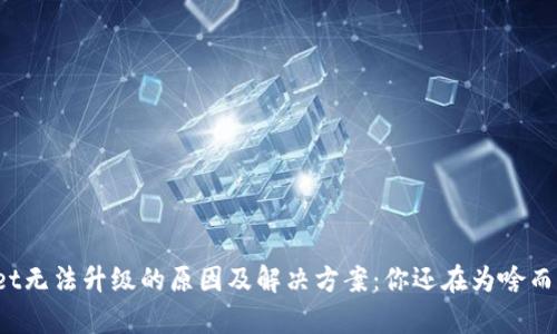 tpWallet无法升级的原因及解决方案：你还在为啥而烦恼吗？