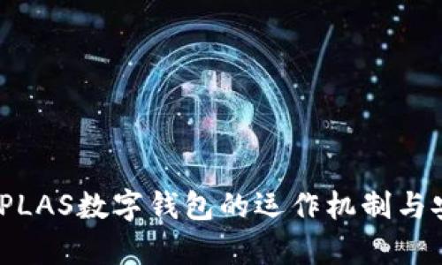 彻底解密：PLAS数字钱包的运作机制与安全性分析