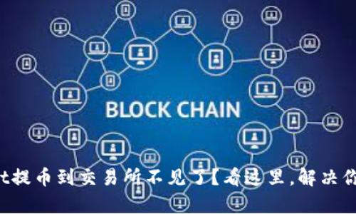 tpWallet提币到交易所不见了？看这里，解决你的烦恼！
