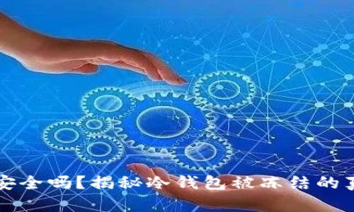 区块链冷钱包安全吗？揭秘冷钱包被冻结的真相与防范技巧