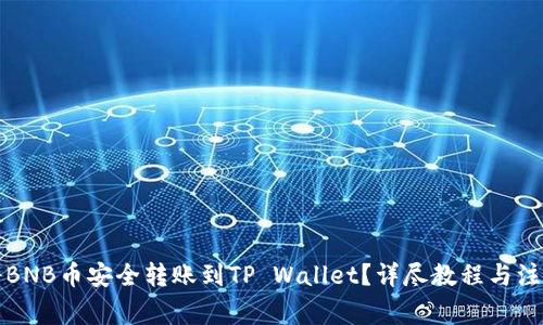 如何将BNB币安全转账到TP Wallet？详尽教程与注意事项
