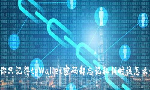 当你只记得tpWallet密码却忘记私钥时该怎么办？