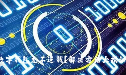 数字钱包充不进钱？解决方法大揭秘！
