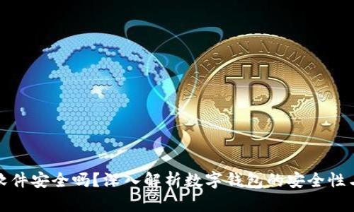 tpWallet软件安全吗？深入解析数字钱包的安全性与保护措施