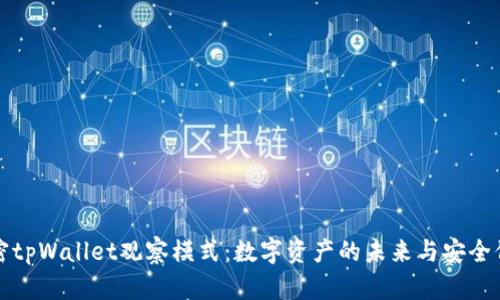 解密tpWallet观察模式：数字资产的未来与安全保障