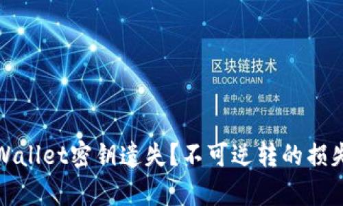如何应对tpWallet密钥遗失？不可逆转的损失与应对策略