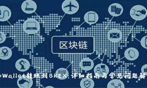 tpWallet转账到BKEX：详细指南与常见问题解析