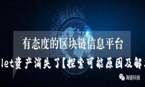 tpWallet资产消失了？探索可能原因及解决方法