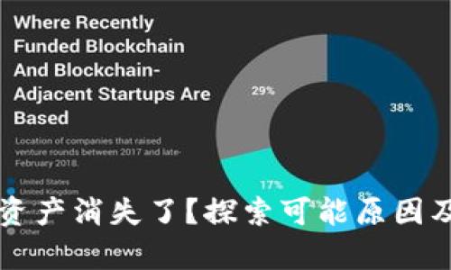 tpWallet资产消失了？探索可能原因及解决方法