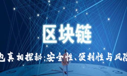 区块链智能钱包真相探秘：安全性、便利性与风险的全方位分析